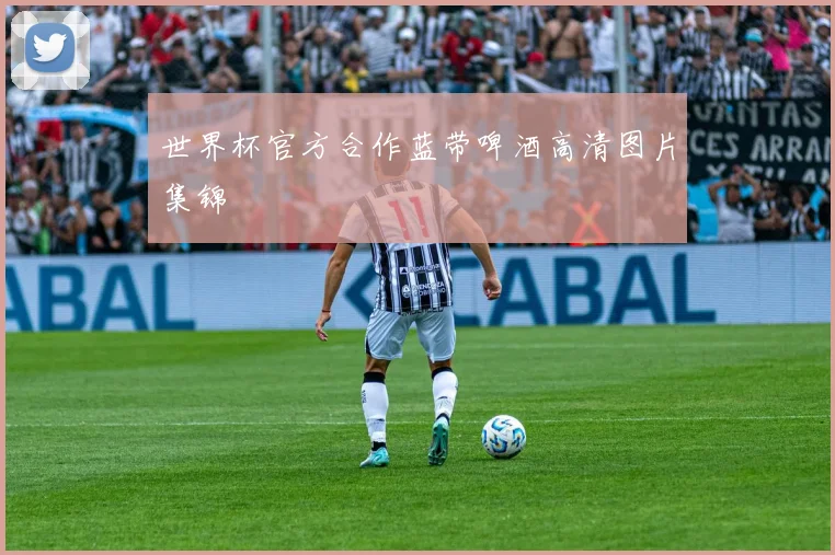 世界杯官方合作蓝带啤酒高清图片集锦